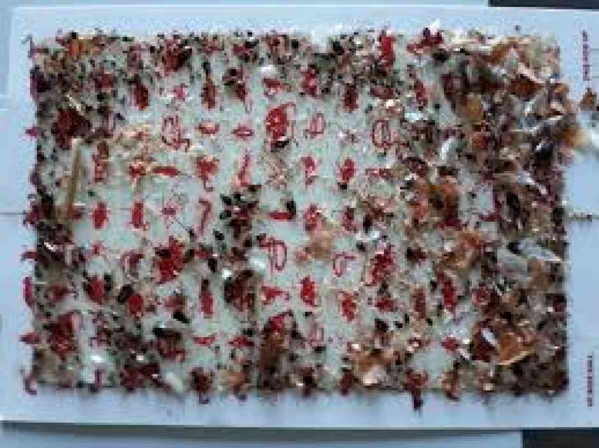 pest n termite services - San Bernardino, California - FleaMarketBay