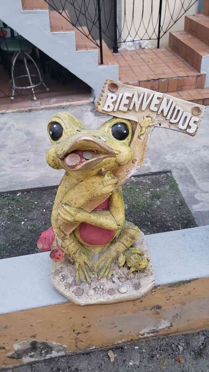 El sapo de yeso - Miami, Florida