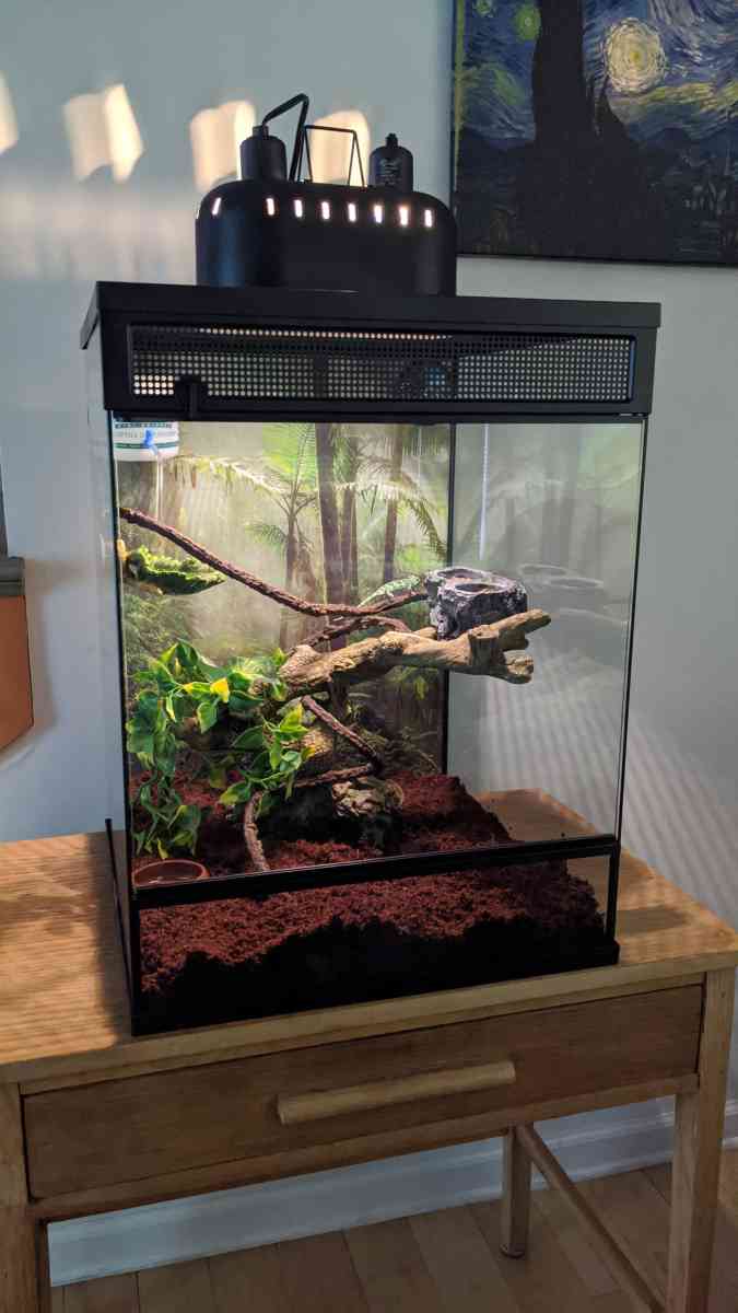 Vertical Reptile Terrarium - Warrenton, Virginia - FleaMarketBay