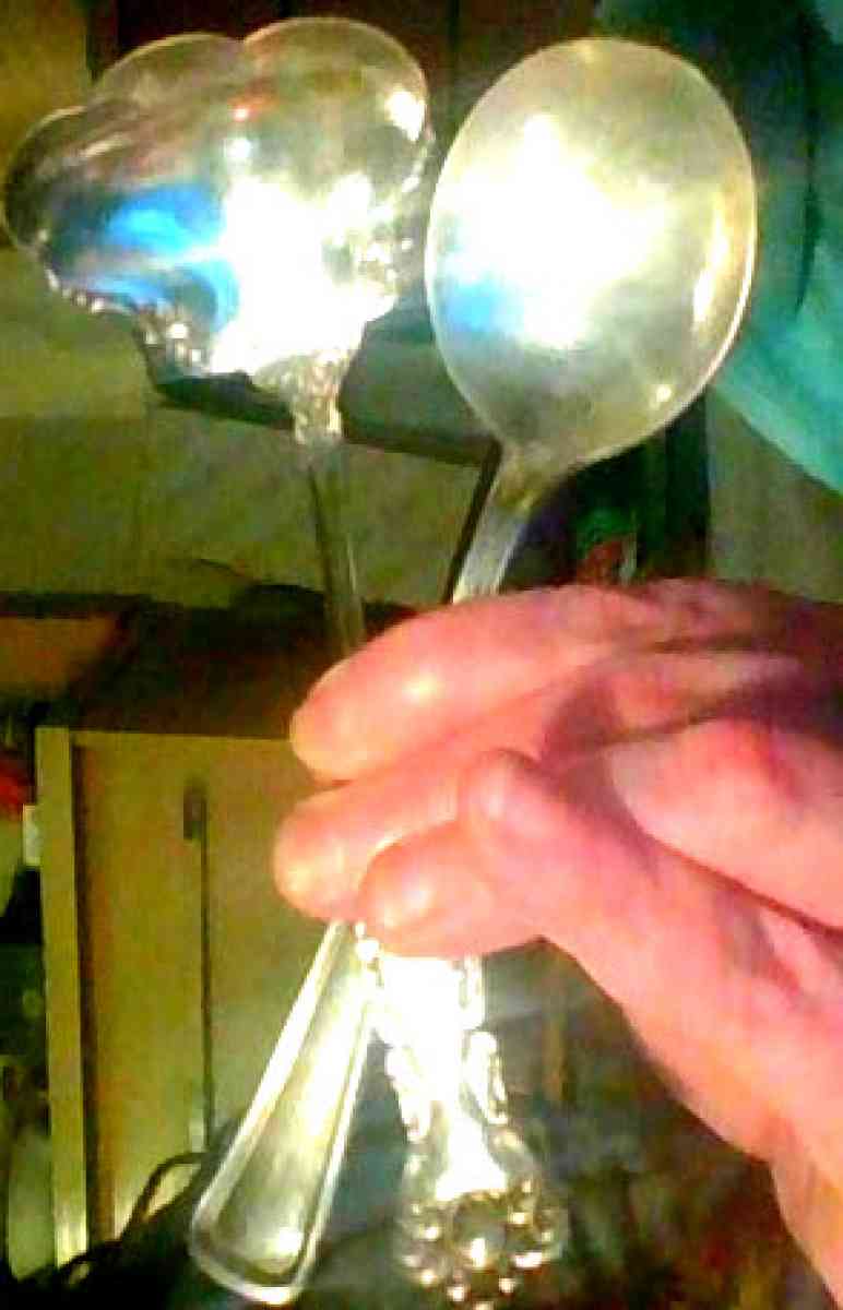 Stainless steel Silver salad spoons and lattle - Alliance, Ohio - FleaMarketBay