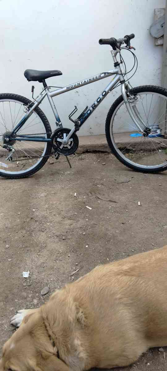 bicycle - Phoenix, Arizona