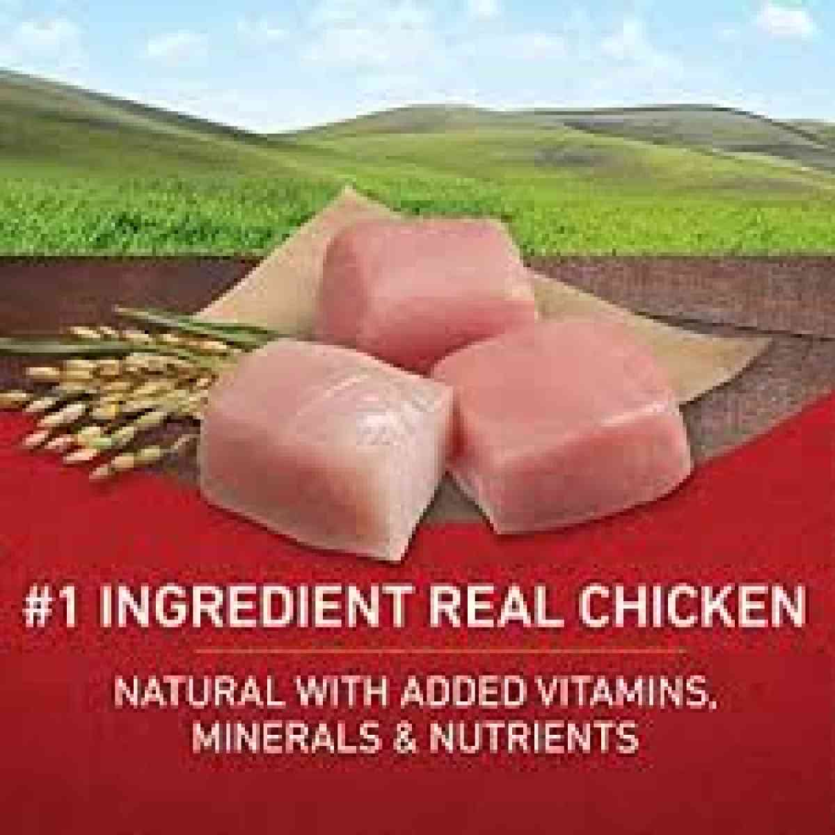 Purina One Chicken And Rice Adult Dog Food - Jacksonville, Florida - FleaMarketBay