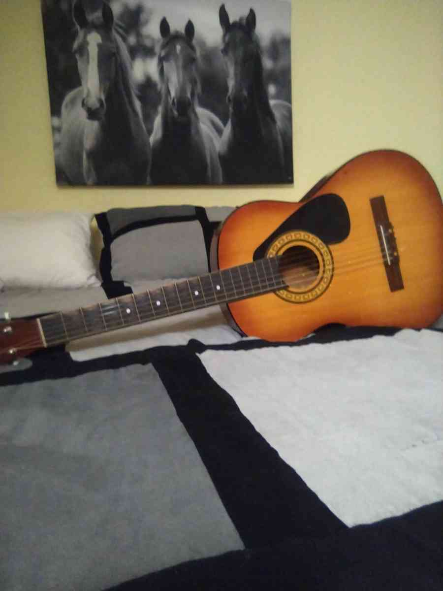 my guitar - Orlando, Florida - FleaMarketBay