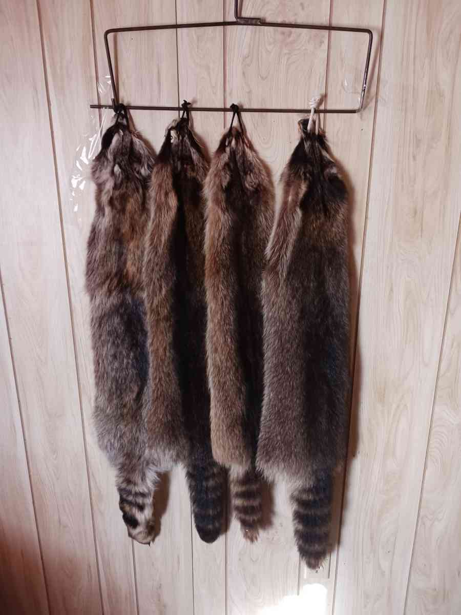fox furs badger furs skunk fur - Mesa, Arizona - FleaMarketBay
