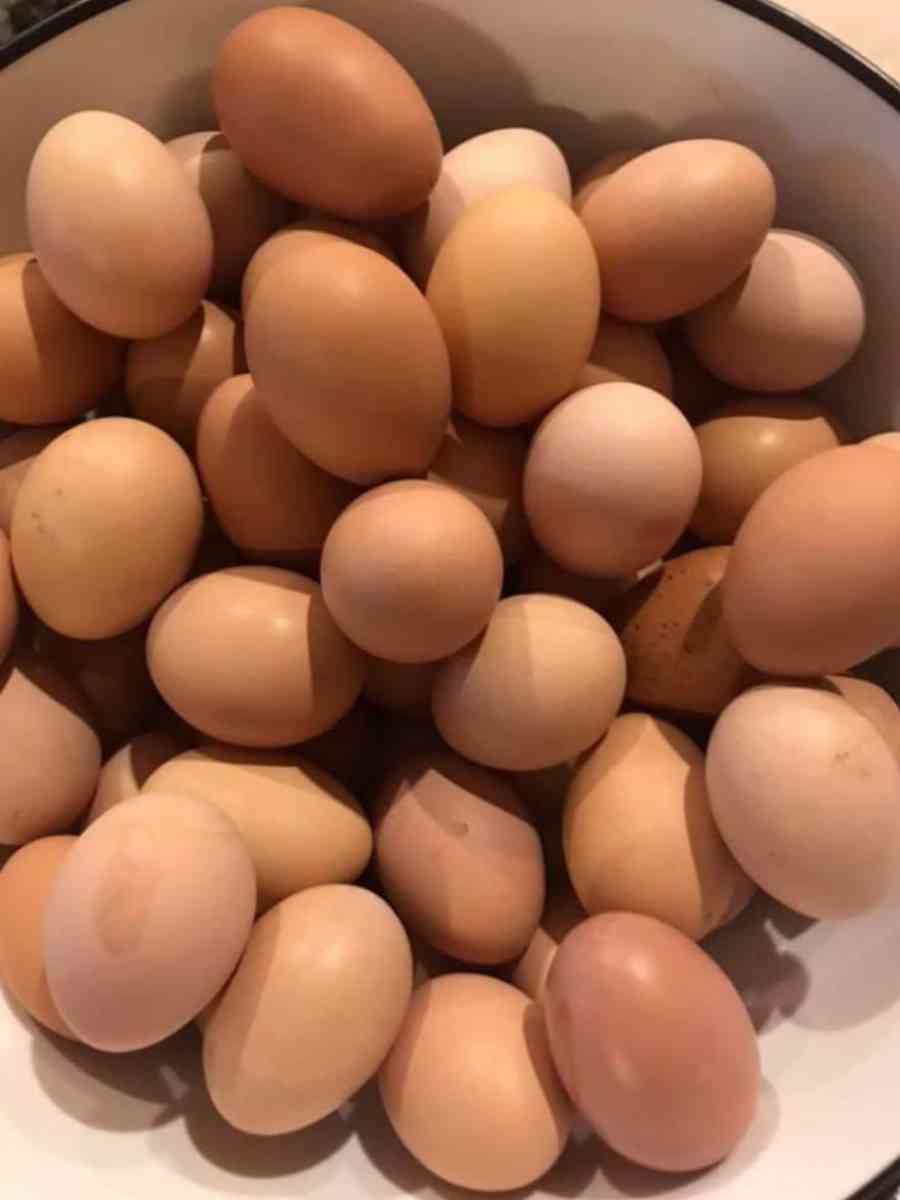 Eggs Farm Fresh Eggs - Richmond, Texas - FleaMarketBay