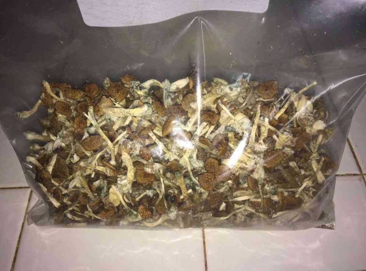 showrooms - Alicia, Arkansas