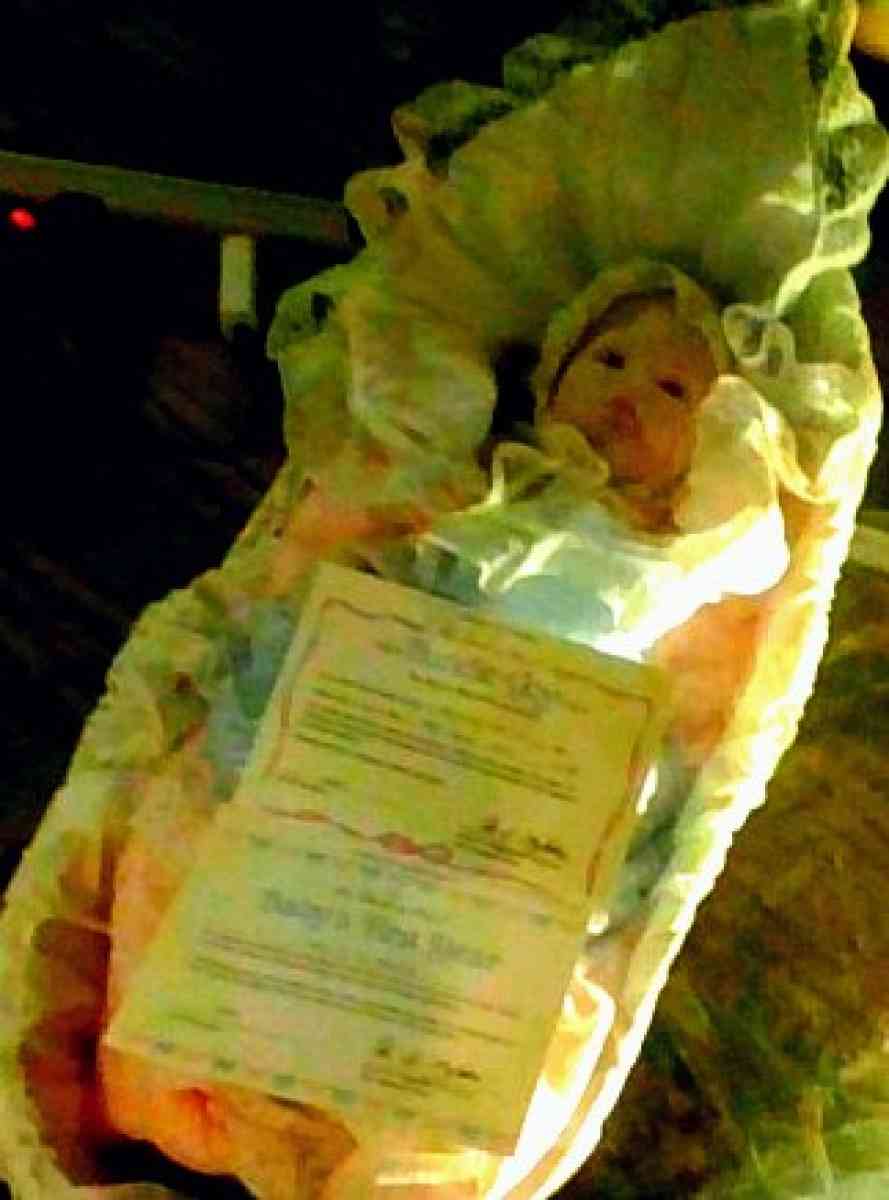 Bundle of Joy created for the Danbury mint - Alliance, Ohio - FleaMarketBay