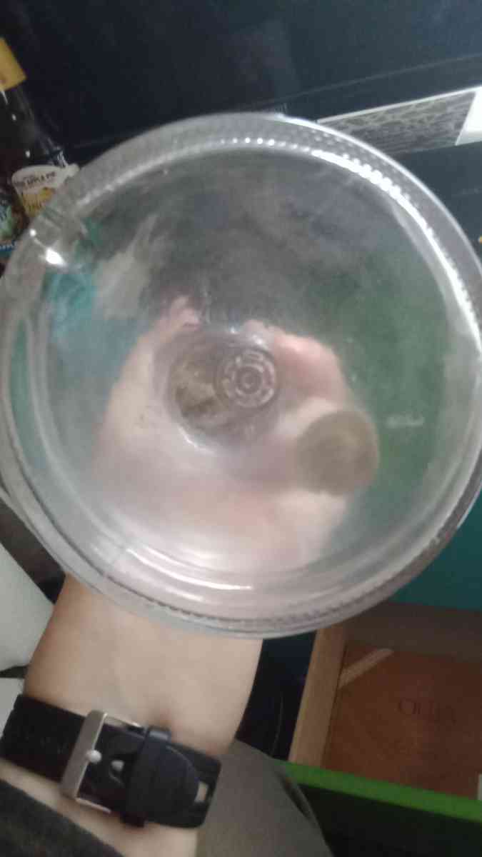 Liquor Bottle I Dream Of Geenie - Milton, Florida - FleaMarketBay