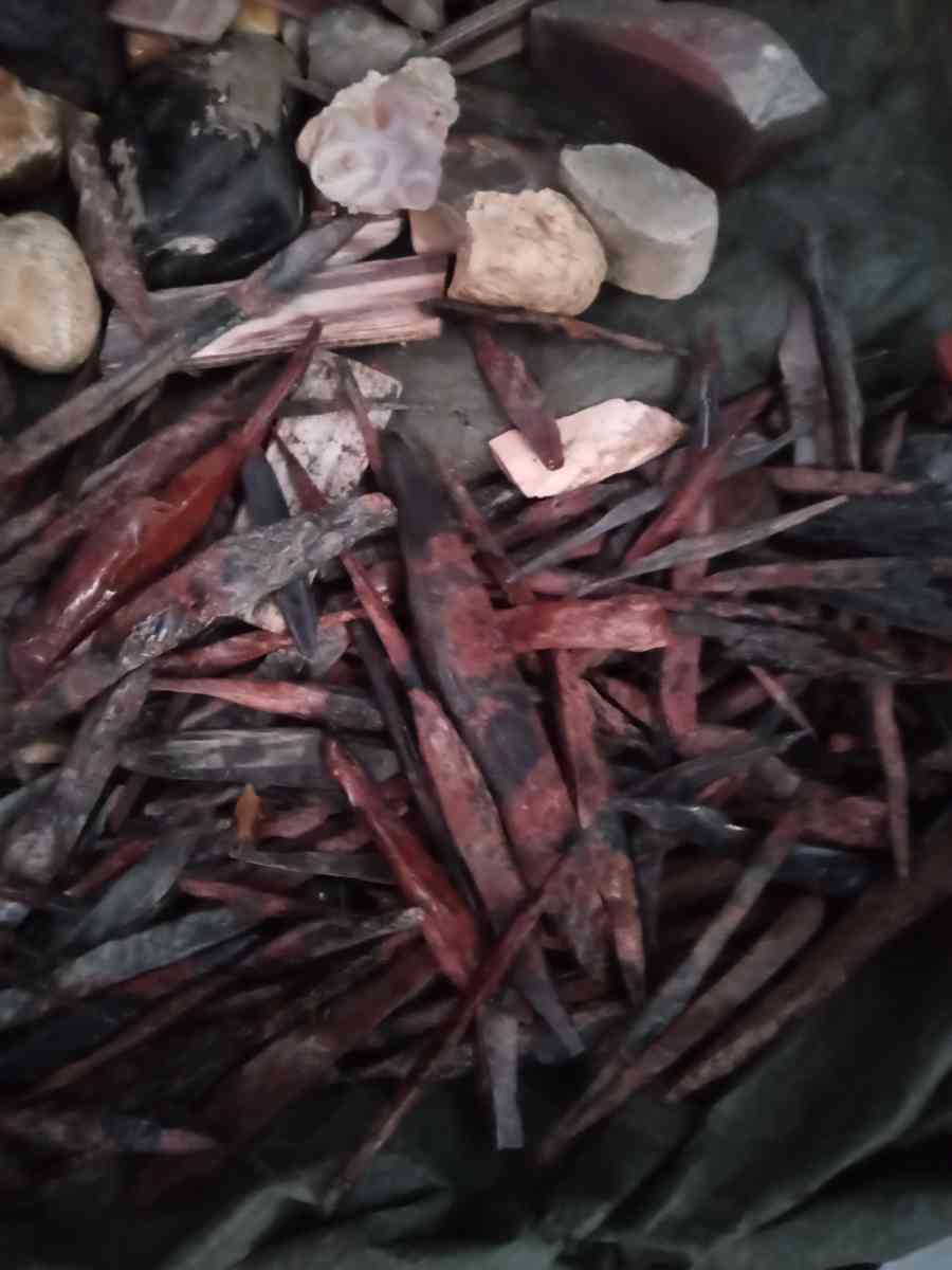 petrified opalized and agatized wood from all over the world - Arcata, California - FleaMarketBay