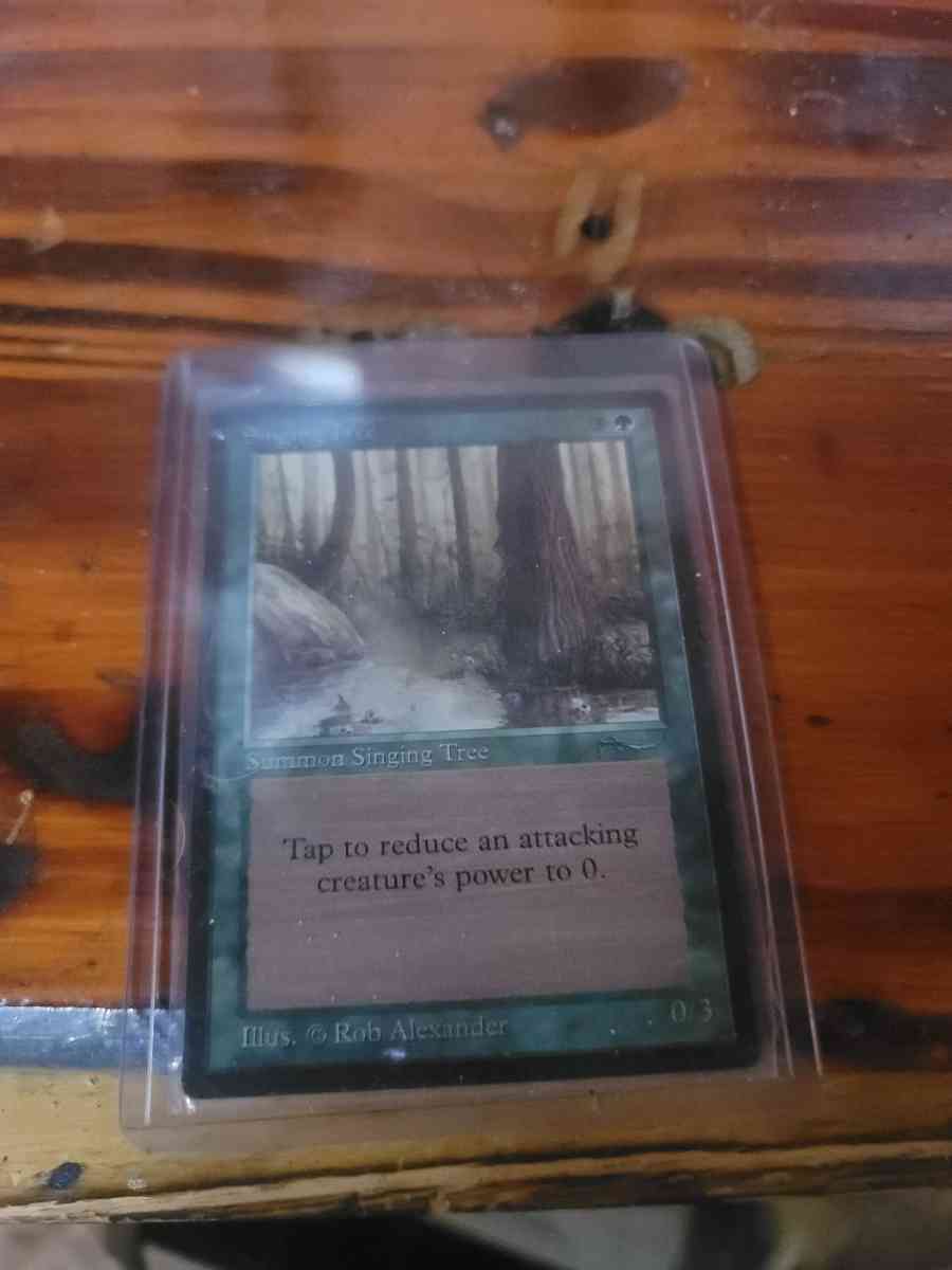 MTG the singing tree - Abington, Pennsylvania