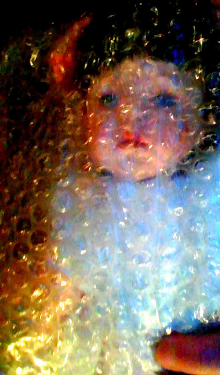 Seymour Mann Porcelain Doll New in Box - Alliance, Ohio