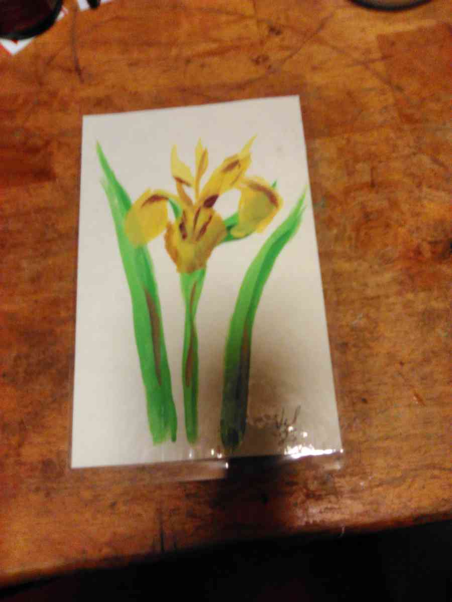 art painting iris - Centreville, Michigan