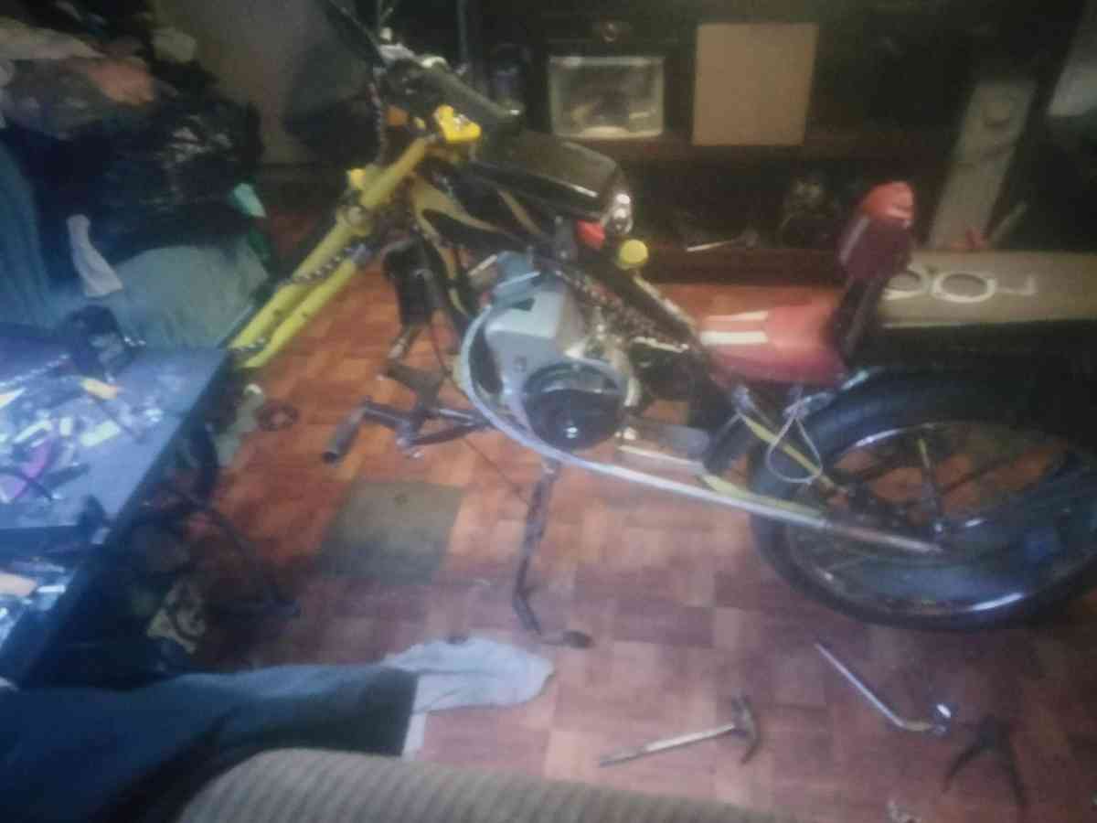 stingray custom motor bike - Seagoville, Texas