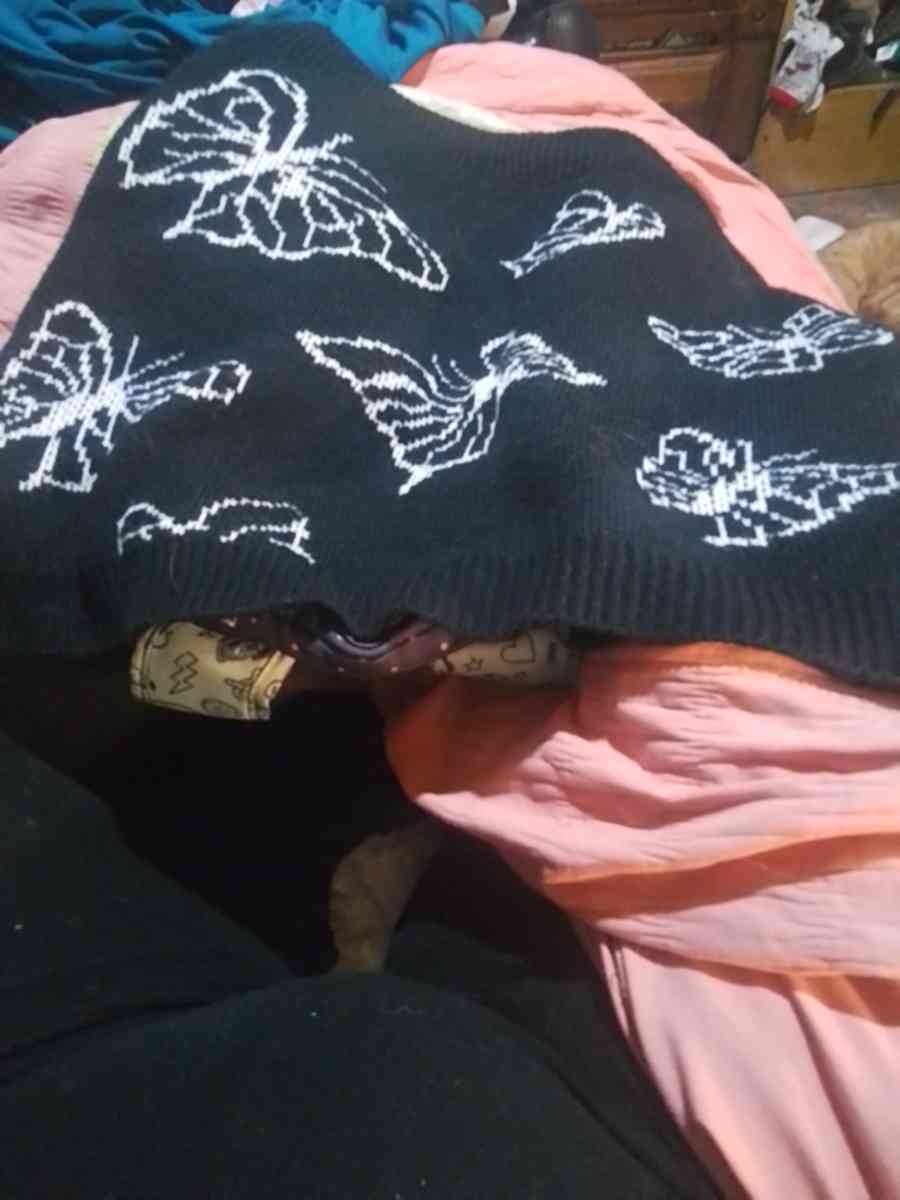 plus size sweater skirt butterfly - Louisville, Kentucky