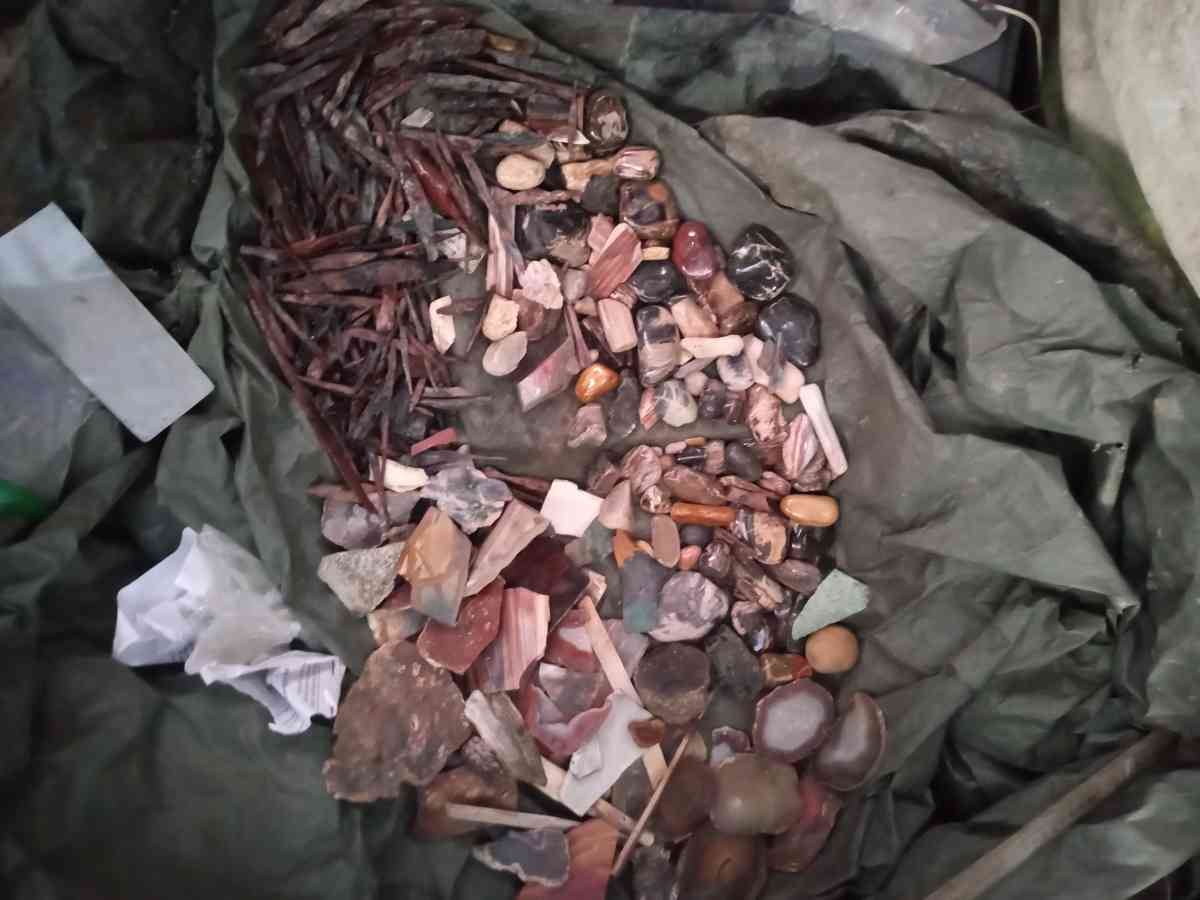 petrified opalized and agatized wood from all over the world - Arcata, California - FleaMarketBay