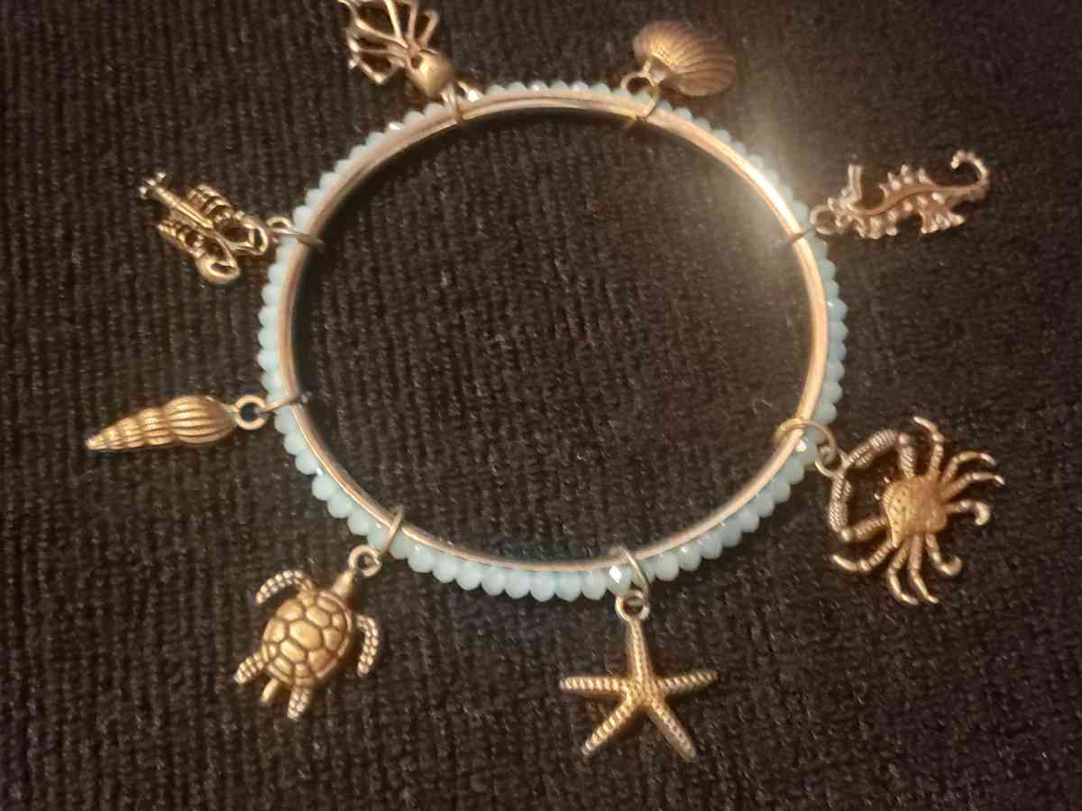 Sea Inspired Bracelet - Carmichael, California - FleaMarketBay