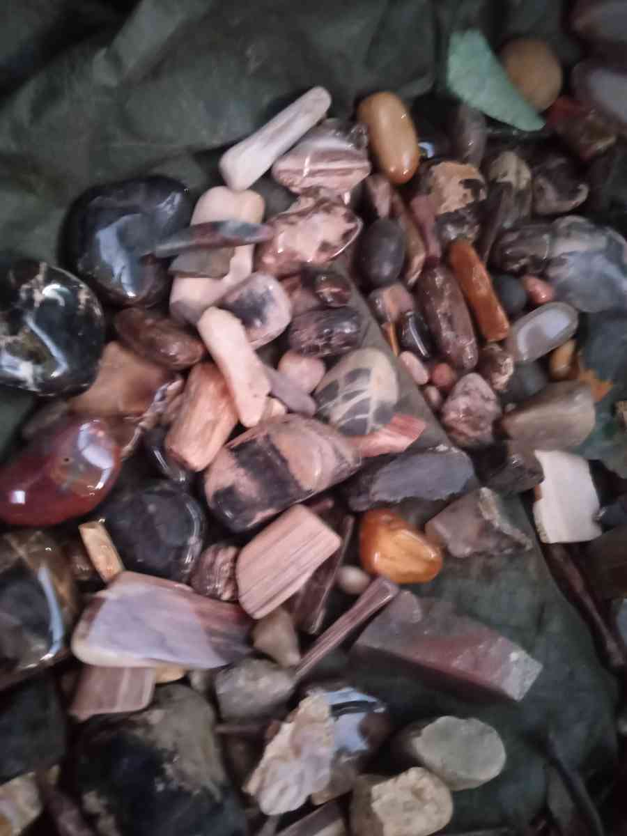 petrified opalized and agatized wood from all over the world - Arcata, California - FleaMarketBay