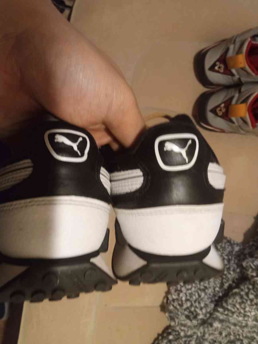 I want 15 for these pumas they are size 8 - Addieville, Illinois - FleaMarketBay