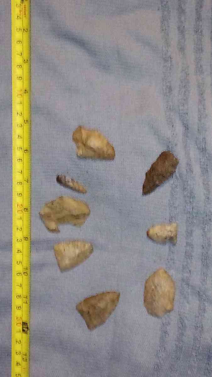 arrow heads indian artifacts - Parrish, Alabama