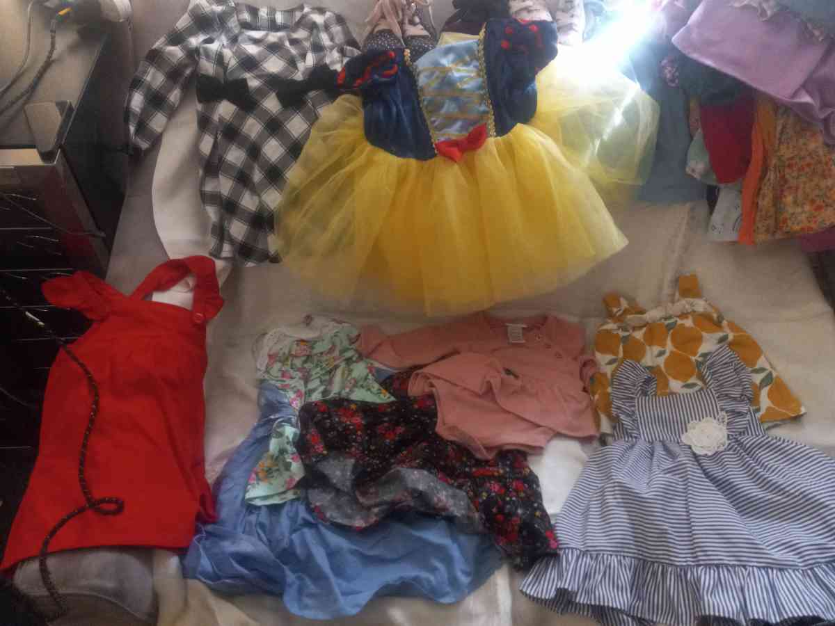 Name Brand Girls Clothes Infant to young girl - Tampa, Florida