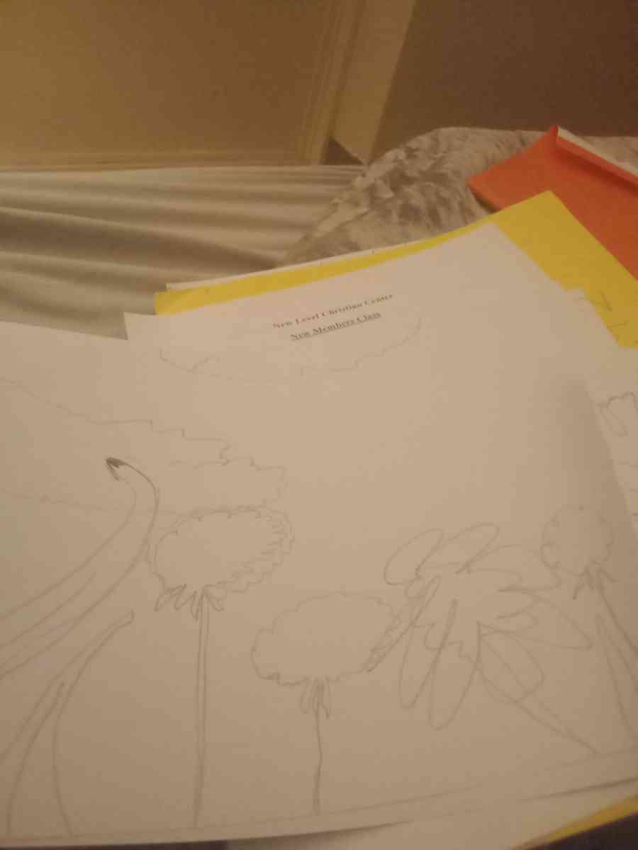 art and drawings - Altamonte Springs, Florida - FleaMarketBay