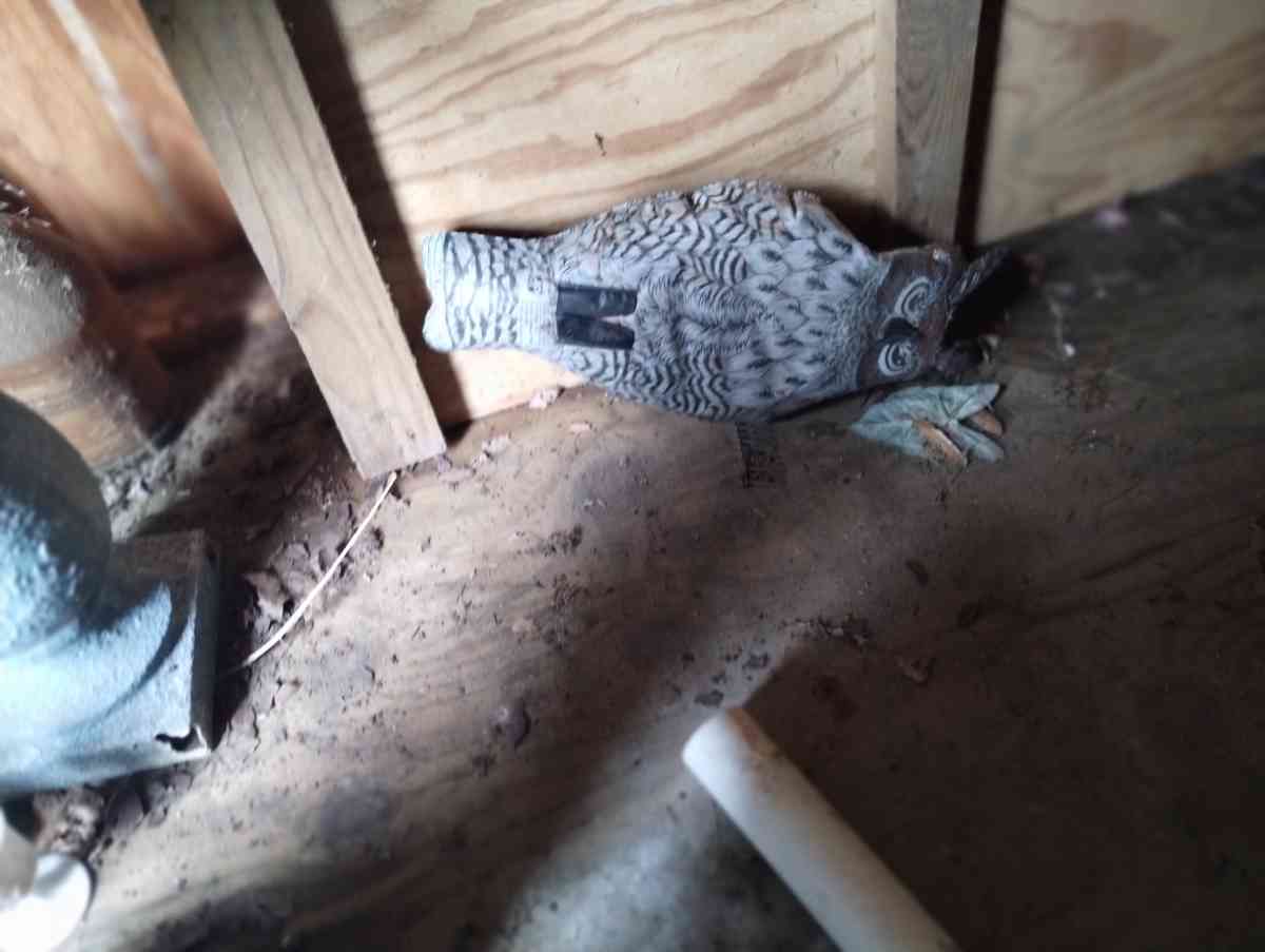 Decorative Inflatable Owl - New Carlisle, Ohio - FleaMarketBay