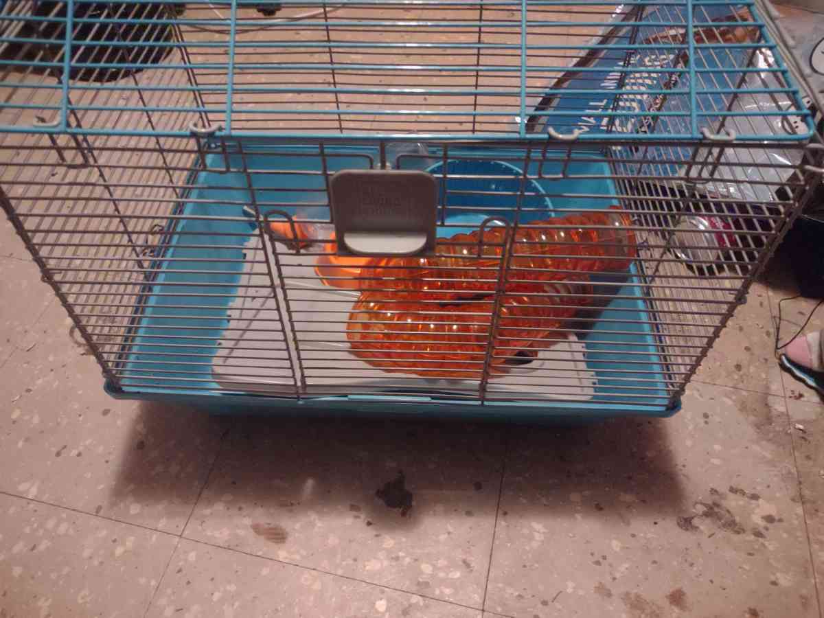 hamster cage - Benton Harbor, Michigan - FleaMarketBay
