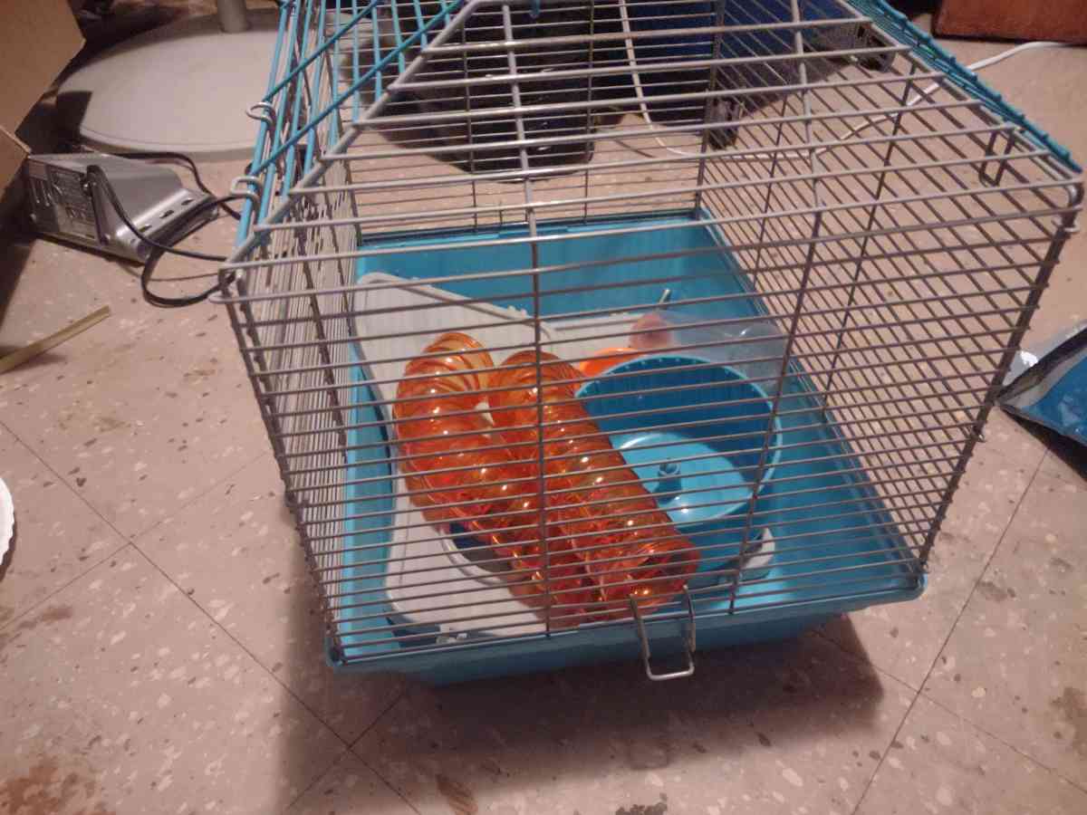 hamster cage - Benton Harbor, Michigan - FleaMarketBay