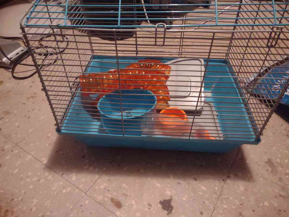 hamster cage - Benton Harbor, Michigan - FleaMarketBay