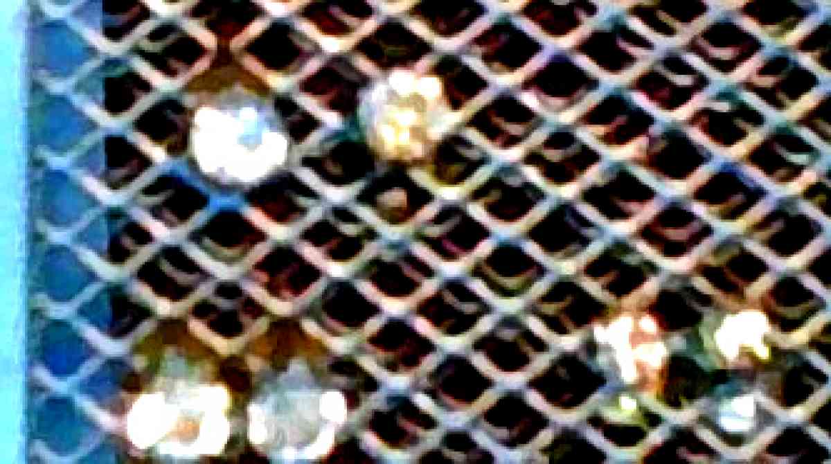 CZ Stud Earrings and Other Stud Earrings - Alliance, Ohio