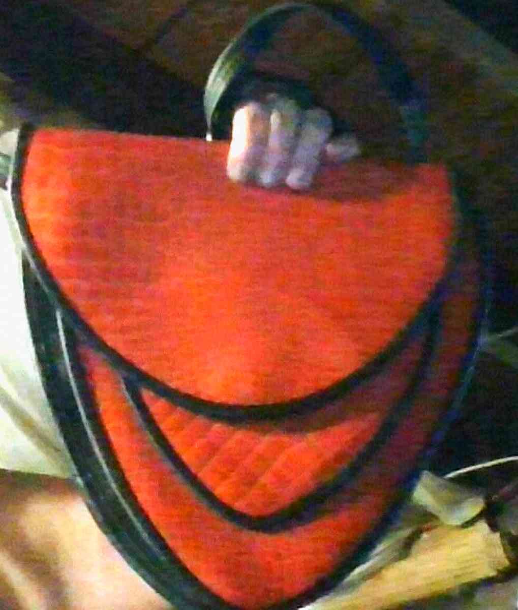 Red and Black colred triangle purse - Alliance, Ohio