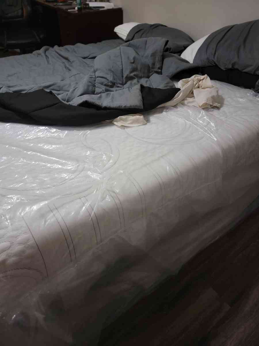 tempurpudiuc foam king size bed - Dallas, Texas