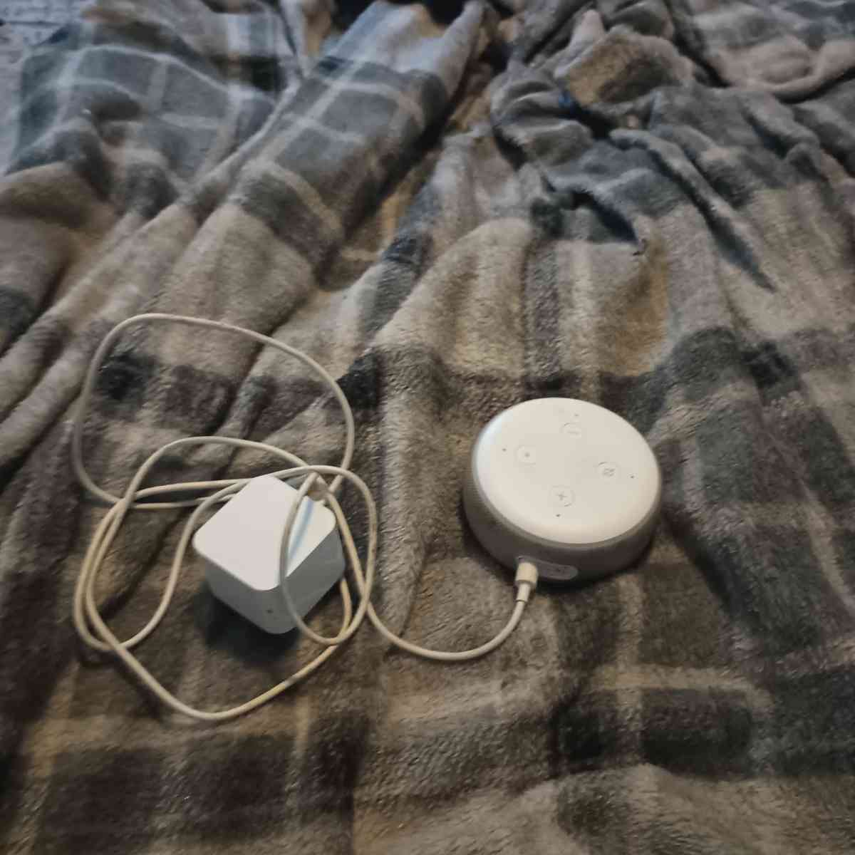 Amazon echo dot - Syracuse, New York