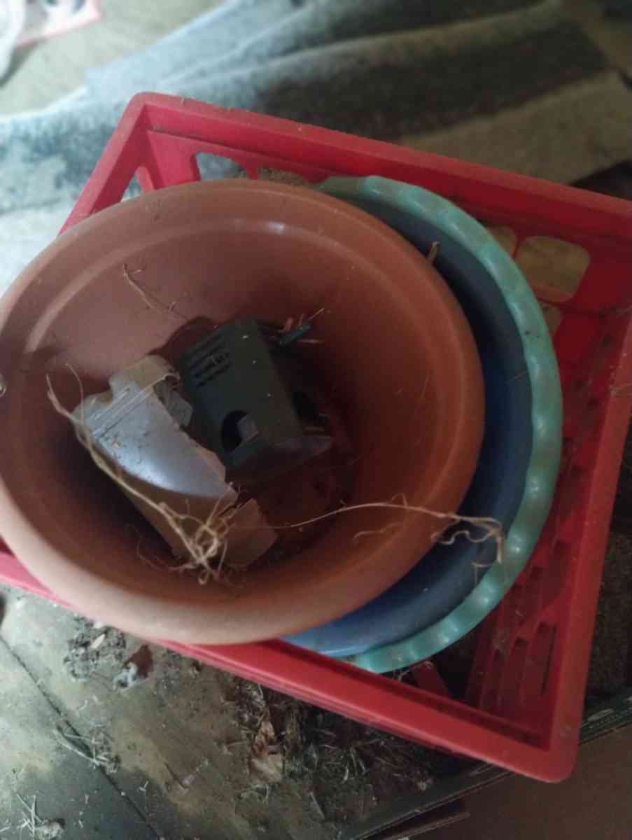 Bowls for Plants or Flowers