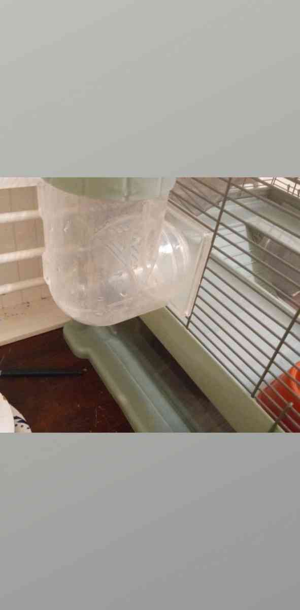 hamster cage - Milwaukee, Wisconsin - FleaMarketBay