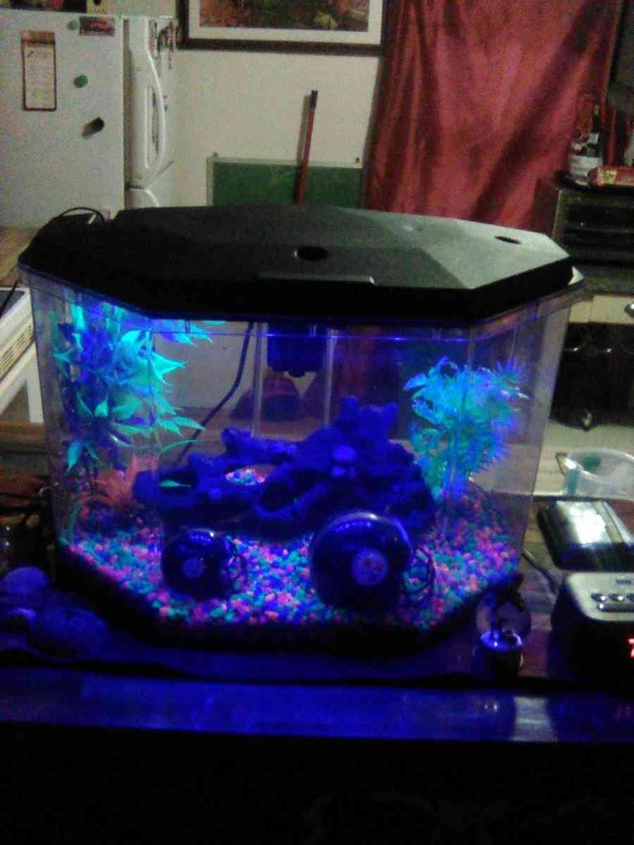 Fish tank - Wayne, West Virginia