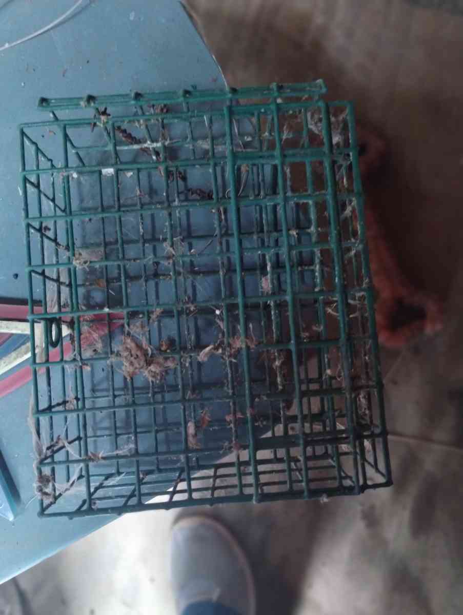 2 Metal Bird Feeders - New Carlisle, Ohio