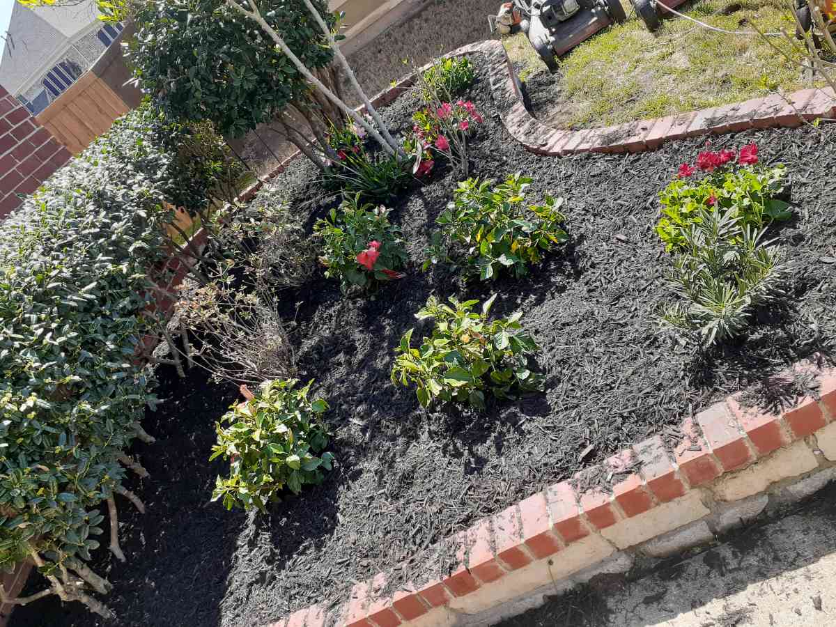 lawn services - Dallas, Texas - FleaMarketBay