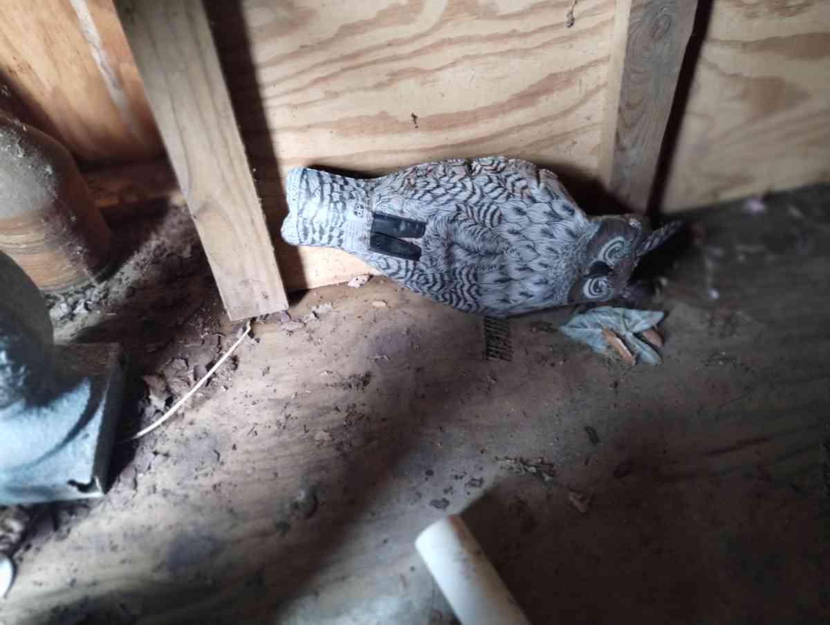 Decorative Inflatable Owl - New Carlisle, Ohio