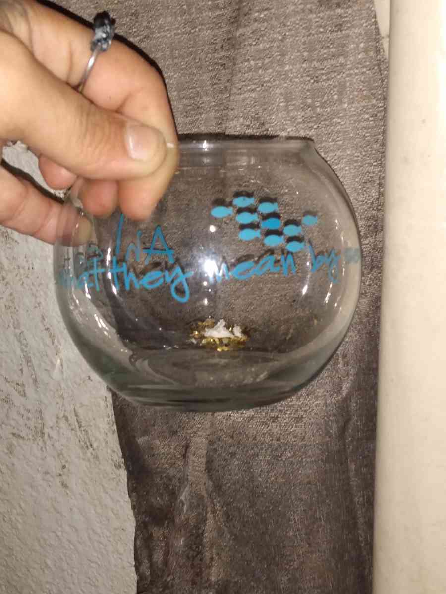fish bowl mini - Mobile, Alabama - FleaMarketBay