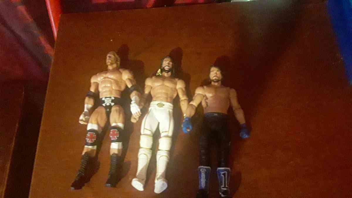 wwe lot