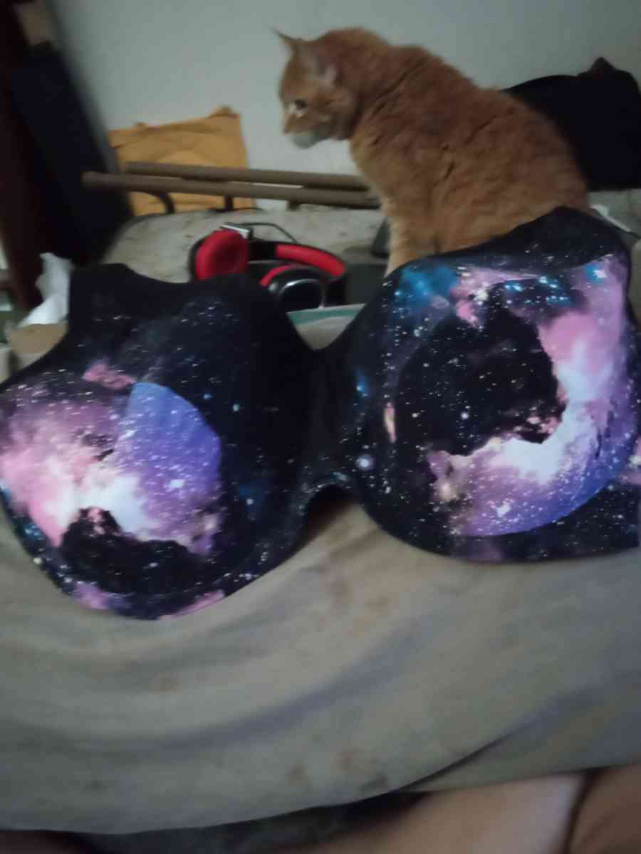 plus size women bras - Las Vegas, Nevada - FleaMarketBay