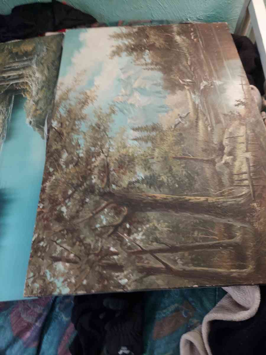 amateur paintimg - Frankfort, Indiana