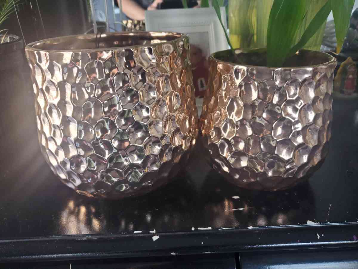 flowers pots - Grand Prairie, Texas