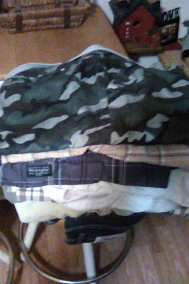 Mens Shorts - Wayne, West Virginia