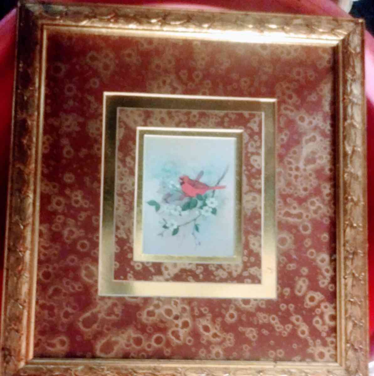 GOLD FRAME WITH PICTURE OF A GARDNAL - Alliance, Ohio
