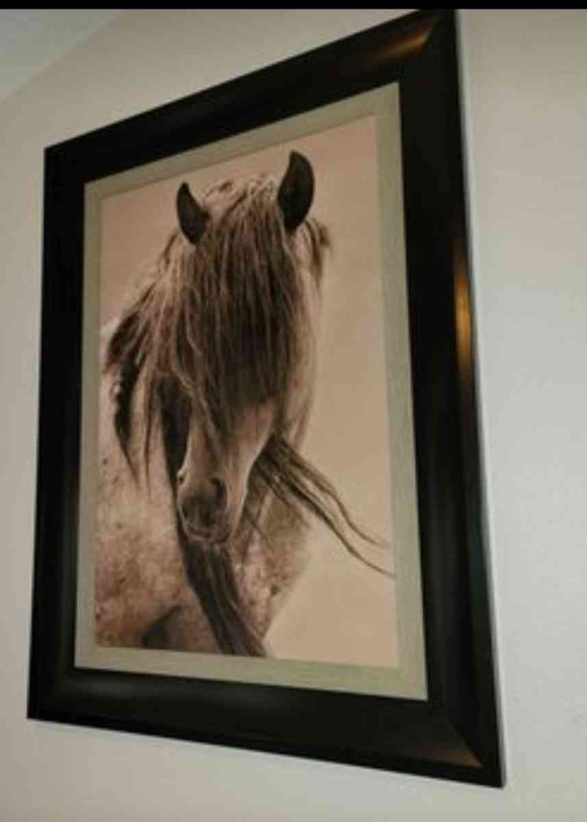 horse wood frame - Wesley Chapel, Florida