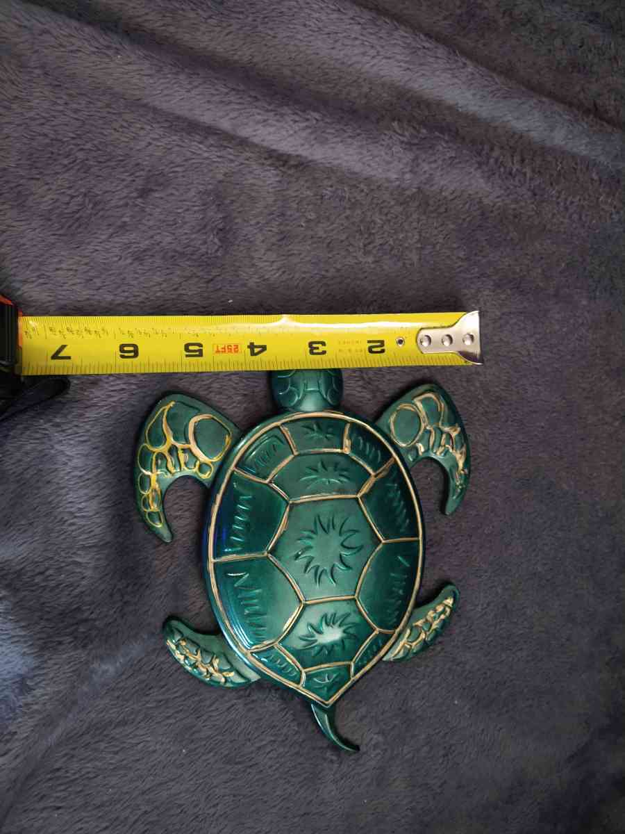 Mr turtle is looking for home - Gainesville, Florida - FleaMarketBay