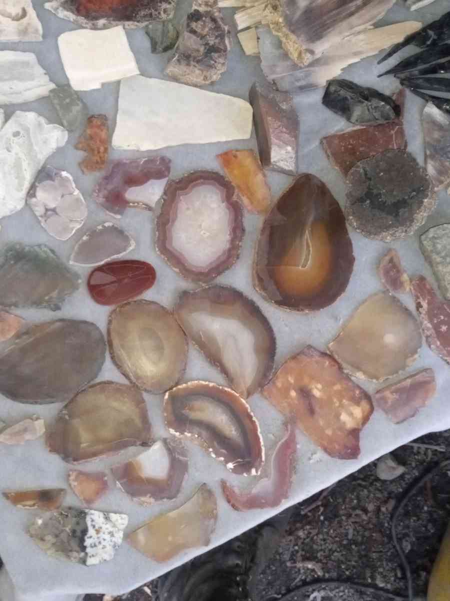 agatized petrified wood slabs - Arcata, California