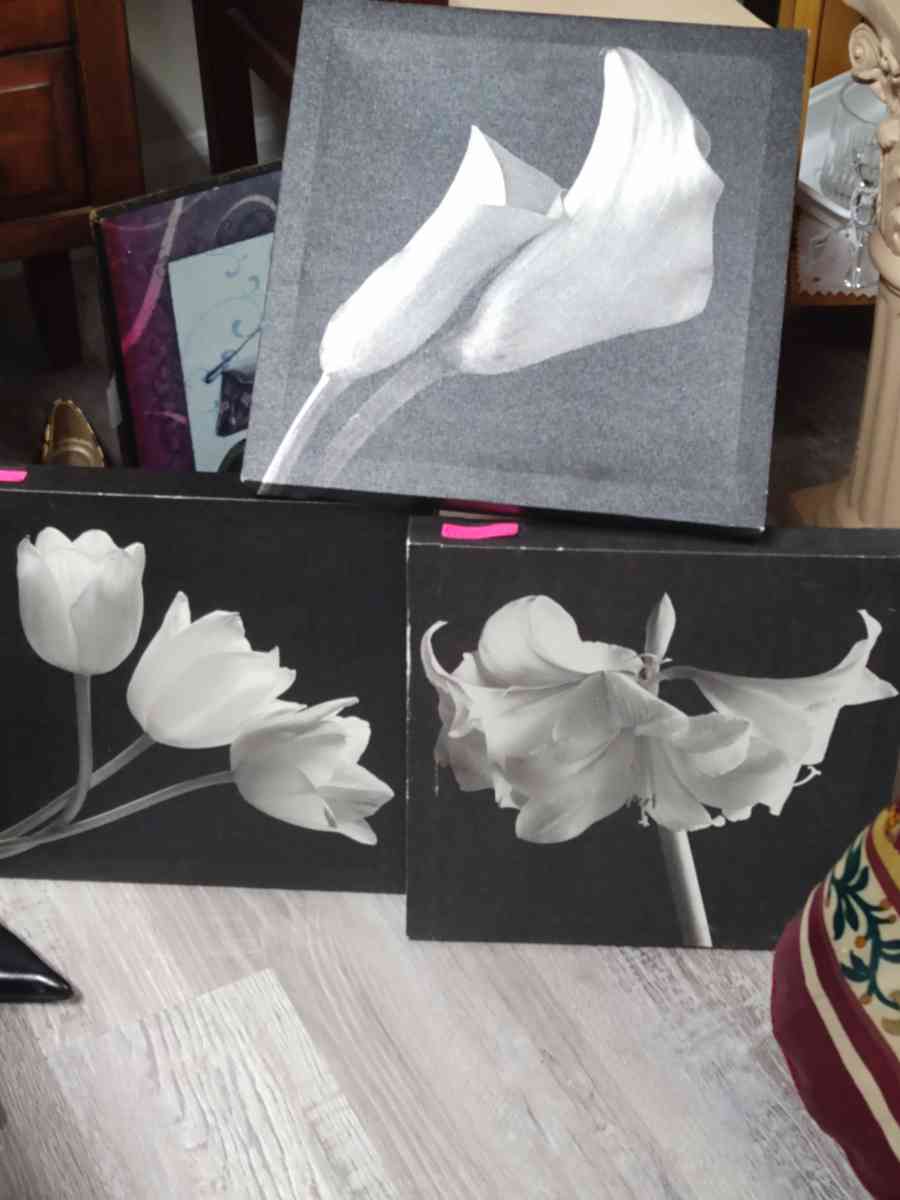 FLOWER WALL DECOR 3 PICTURES - Belen, New Mexico